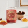 21.5oz Lidded Glass Jar 2-Wick Fall Day Candle - Opalhouse™ -Opalhouse GUEST b871d0a3 4ceb 4012 b682 623b0309090e